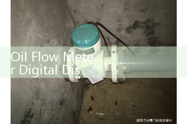 Oil Flow Meter Digital Display: Selecting Local Interfaces for Harsh Environments