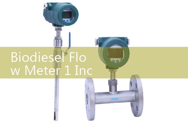 Biodiesel Flow Meter 1 Inch Compact Fueling Skid Installation
