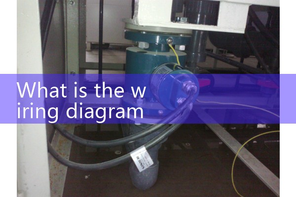 Wiring of split type electromagnetic flowmeter