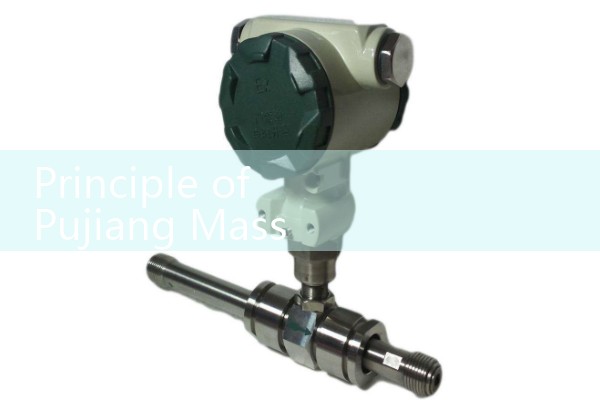 Principle of Pujiang Mass Flow Meter