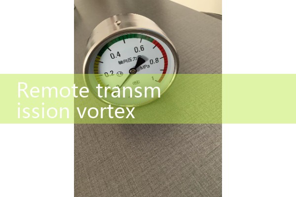 Remote transmission vortex flowmeter