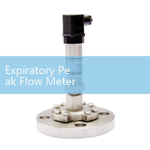 Expiratory Peak Flow Meter Instructions: Tracking Asthma Levels and Lung Function at Home