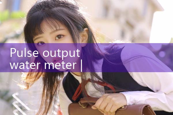 pulse output water meter|rotameter flow meter