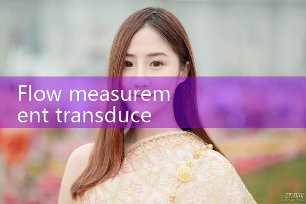 flow measurement transducer|rotameter flow meter