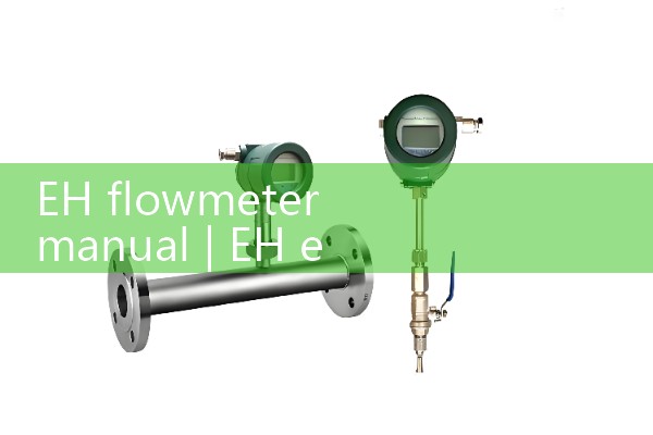 EH flowmeter manual