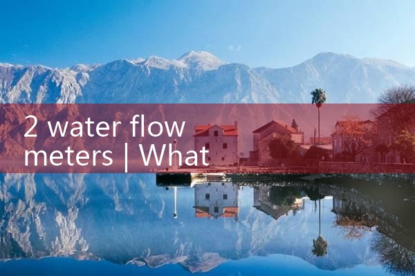 2 water flow meter|rotameter flow meter