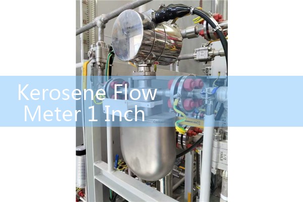 Kerosene Flow Meter 1 Inch Local Display Module Setup