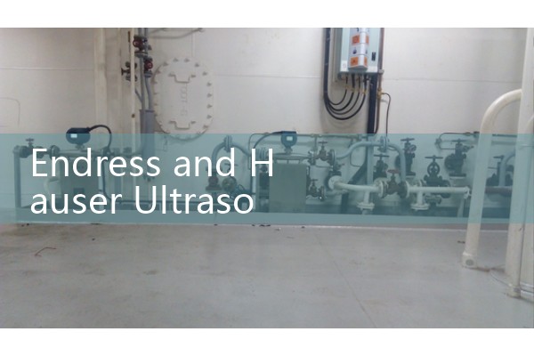 Endress and Hauser Ultrasonic Flow Meter Configuration for Process Water