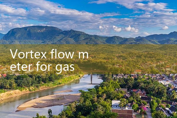 vortex flow meter for gas|rotameter flow meter