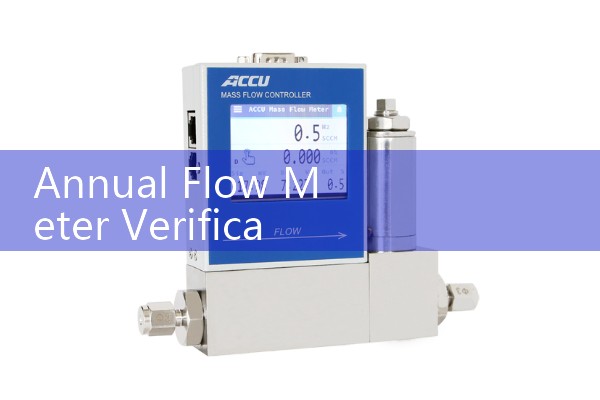 Annual Flow Meter Verification Procedures Without Process Interruption
