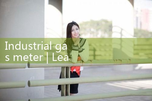 industrial gas meter|rotameter flow meter