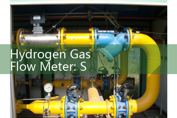 Integrated vortex flowmeter