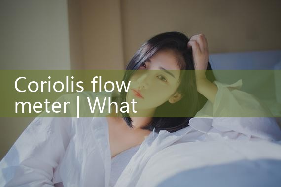 coriolis flowmeter|rotameter flow meter