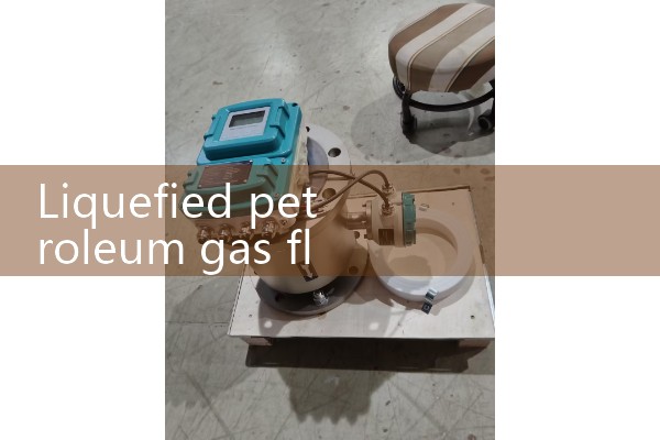 Liquefied petroleum gas flowmeter