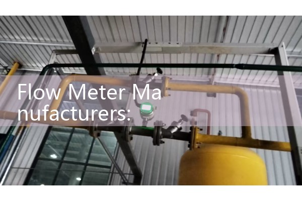 Flow Meter Manufacturers: Top Global Industrial Suppliers List
