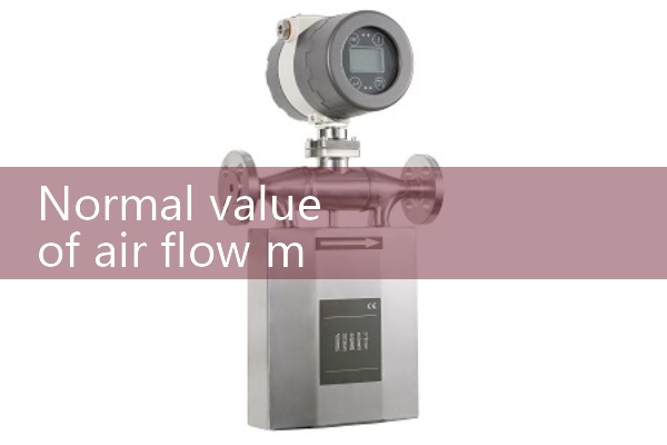 Normal value of air flow meter