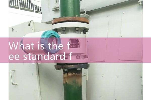Ultrasonic flowmeter quotation
