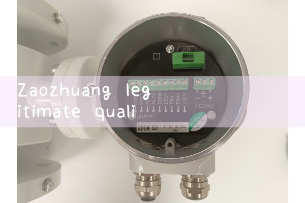 Zaozhuang legitimate quality flowmeter manufacturer