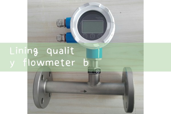 Lining quality flowmeter brand manufacturer