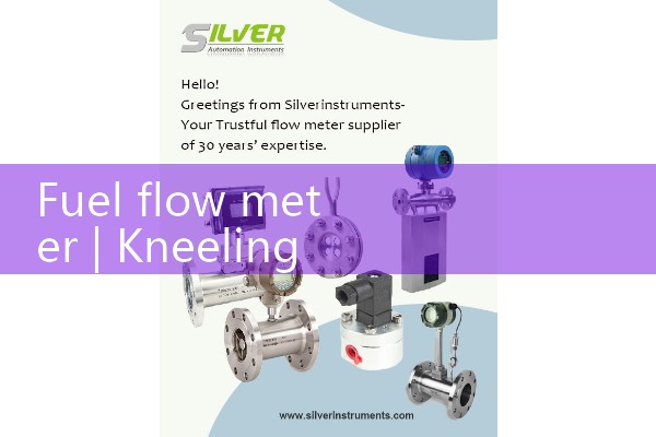 fuel flow meter|orifice meter